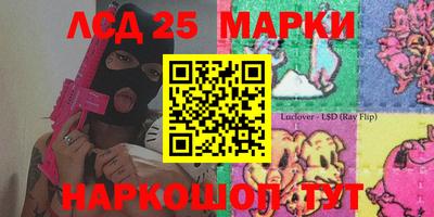 стаф Новодвинск