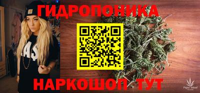 наркотики Новозыбков