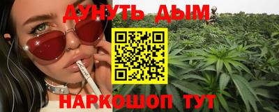 наркотики Новозыбков