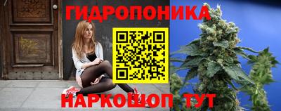 наркотики Новозыбков