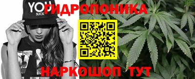 наркотики Новозыбков