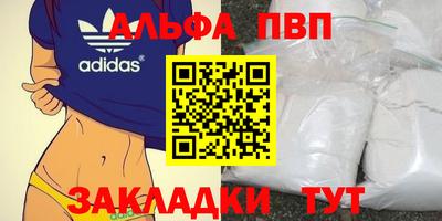 стаф Новодвинск