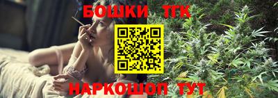 стаф Новодвинск