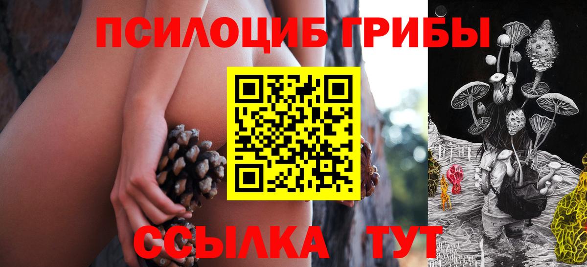 Галлюциногенные грибы MAGIC MUSHROOMS  Псилоцибиновые грибы Psilocybe  Вход с VPN  Сердобск 