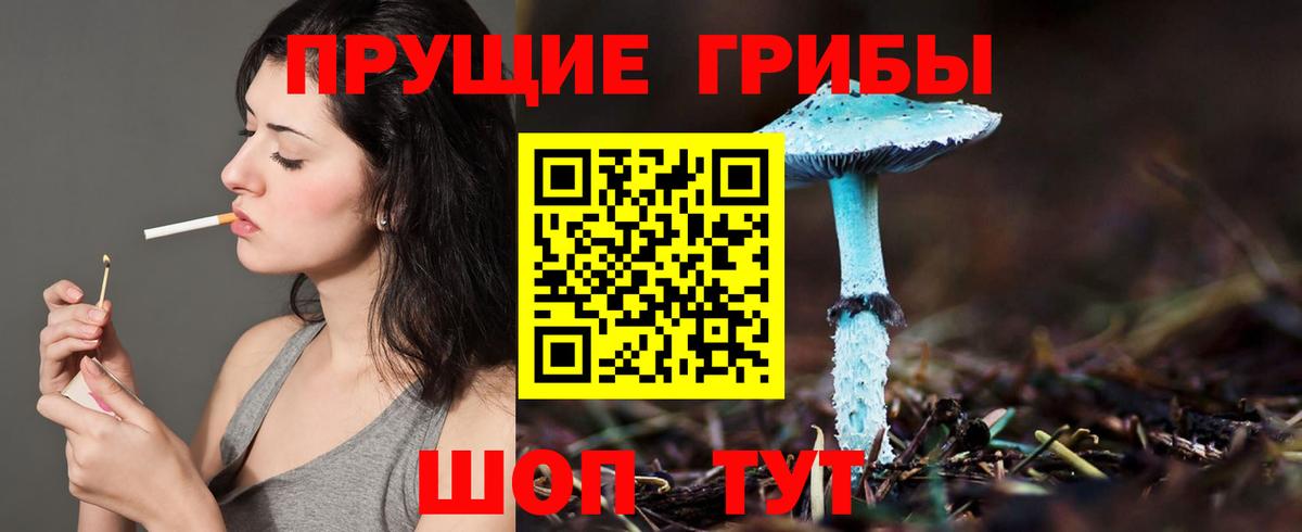 Галлюциногенные грибы Magic Shrooms Сердобск